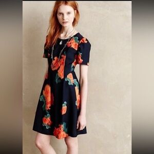 Anthropologie Poppy Palette Dress by McGinn Size 6